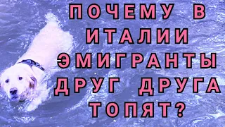 В 🇮🇹 ЭМИГРАНТЫ КАЖДЫЙ САМ ЗА СЕБЯ & ОТВЕТЫ НА ВОПРОСЫ/ОТПУСК, 13-Я, КОНТРАКТ СИДЕЛКИ