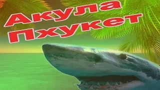 Дайвинг на Пхукете. Бамбуковая акула.