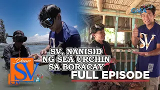 SV, nanguha ng tirik kasama ang isang pambihirang lola (Full episode 13) | Dear SV