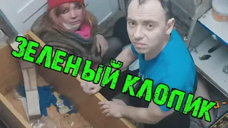 ЗЕЛЕНЫЙ КЛОПИК