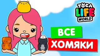 СОБИРАЮ ВСЕХ ХОМЯКОВ в Тока Бока 🐹 Toca Life world