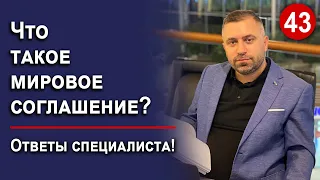 ЧТО ТАКОЕ МИРОВОЕ СОГЛАШЕНИЕ?