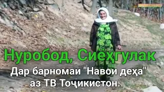 Нуробод ва деҳаи Сиёҳгулак дар барномаи "Навои деҳа" аз ТВ Тоҷикистон.