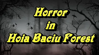 HOIA BACIU FOREST - FULL VISIT AND INVESTIGATION - THE WORLD`S MOST HAUNTED FOREST - SPOOKY!