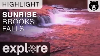 Sunrise at Brooks Falls - Live Cam Highlight