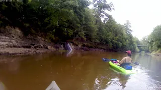 Mineral Stream and Waterfall on Leaf River Mississippi