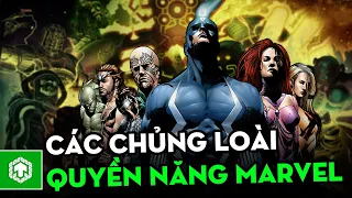 Tổng hợp các chủng loài quyền năng nhất Marvel Comics | Marvel | Ten Tickers