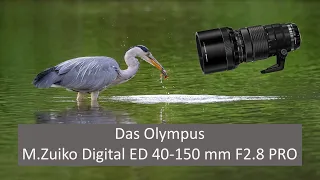 Abenteuer Naturfotografie / Das M.Zuiko Digital ED 40-150mm f 2,8 PRO