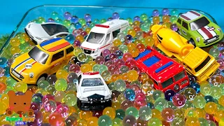 Working Cars Fall into Water Beads! 【Kuma's Bear Kids】