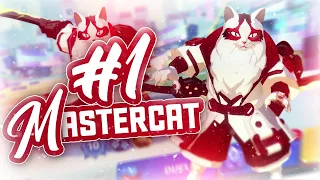 SMASH LEGENDS MASTER CAT GAMEPLAY | THE #1 MASTERCAT 🥇