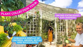 TROPICAL GARDEN TOUR IN BARBADOS: AROIDS, ORCHIDS & HOUSEPLANTS GALORE!