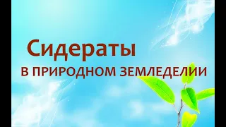 Природное земледелие - Сидераты