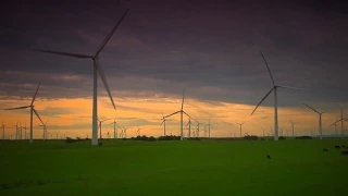 Windmills Greeting The Sunrise
