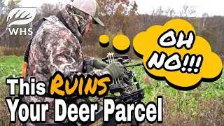 Why Your Deer Hunting Sucks