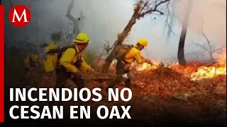 Continúan los esfuerzos para sofocar los incendios forestales en Oaxaca