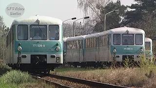 Ferkeltaxen auf Usedom