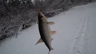 Первый лед на Таежной речке 2019