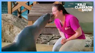 Mystic Aquarium Trainer & Sea Lion Clara Show Off Their Special Bond And Tricks