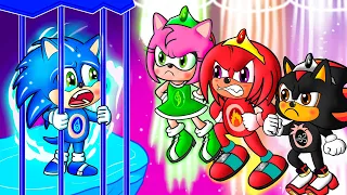 AMY is Pregnant, But They're Four Element | Sonic the Hedgehog 2 Animation