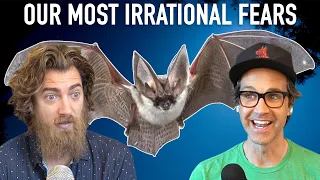Our Most Irrational Fears