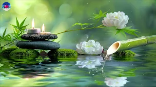 Relaxing Music 🌿 Sound of Bamboo Water Helps to Stabilize The Mind, Restore Health