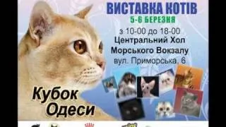 Международная выставка кошек в Одессе!!! 5-6 марта WCF