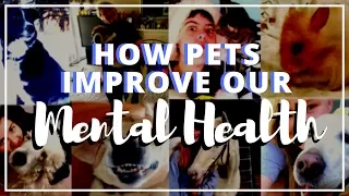 Reasons Owning a Pet Can Improve Your Mental Health 🐶🐱