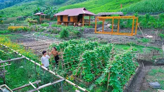 Aquaculture process - harvesting, selling clean products, gardening at SANG VY Green Farm