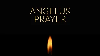 ANGELUS PRAYER | No Music | With Text to Follow Along