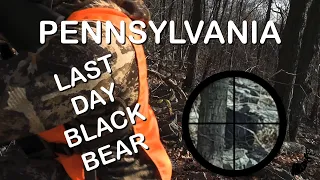 PA RIFLE SEASON | WE GOT A BEAR?! | PA BEAR DOWN