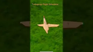 Goofy Ah Turboprop Flight Simulator 💀