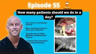 Ep 55 -  How many patients should we do in a day?