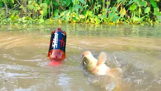 Amazing Fishing Video | Traditional Boy Catching Fish By Hook in Plastic Bottle