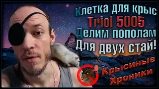 Клетка "Triol 5005", для крыс, на две стаи! Делим пополам, и наполняем. (Rats | Крысы)