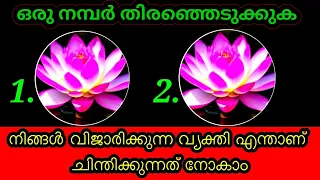 നിങ്ങൾ വിജാരിക്കുന്ന വ്യക്തിയുടെ ചിന്തകൾ എന്താണെന്ന് നോക്കാം💫💫