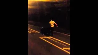 Drunken wheelie bin