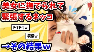 【2ch動物スレ】美女に撫でられて緊張する猫さん → その結果www