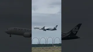 Air New Zealand 787-9 Taking Off At YBBN #shorts #planes