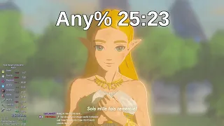 BotW Any% 25:23 [Former WR]