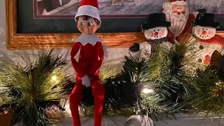 Elf on the shelf returns! Day 2 of 25