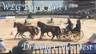 Tryon 2018 World Equestrian Games ~ Day 3 Part I: Driving Cones Test