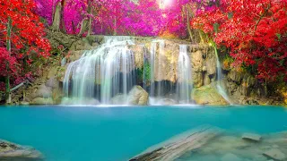 Top 5 Most Beautiful Waterfalls in the World