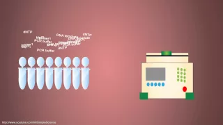 PCR - Polymerase Chain Reaction - Simple Animated Tutorial