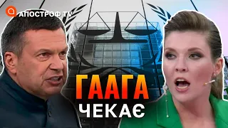 ІСТЕРІЯ ПРОПАГАНДИСТІВ: підготовка росіян до Гааги / Шейтельман