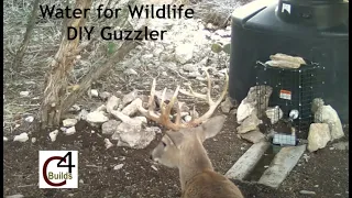 Water for Wildlife DIY Guzzler