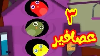 3 عصافير -  طيور بيبي Toyor Baby