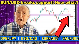 EUR/USD breaks support!! Discussing XAU/USD, GBP/JPY & More! (Forex Forecast)