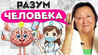 Факты о разуме человека. Портрет совершенного разума