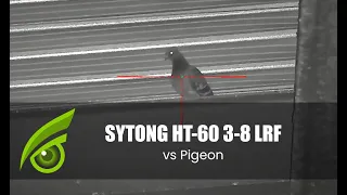 Sytong HT-60 LRF 3x-8x Digital Night Vision Pigeon Shooting