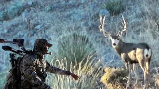 Big Bucks in Arizona!